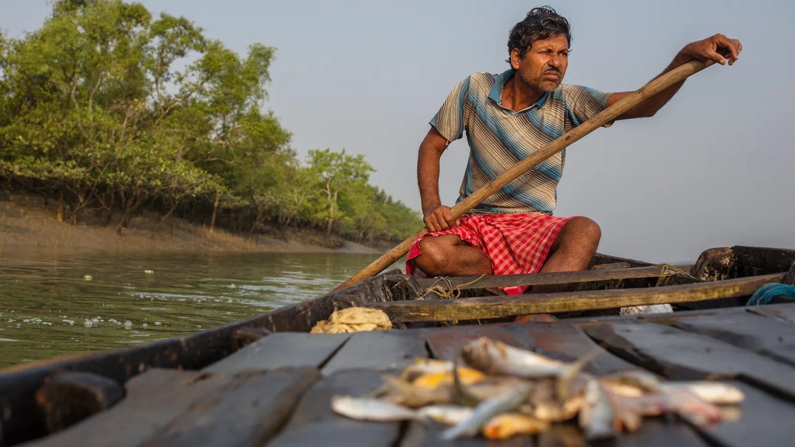 Fishing communities. The Sundarbans, in the east of India, is one of the largest remaining wetlands in India