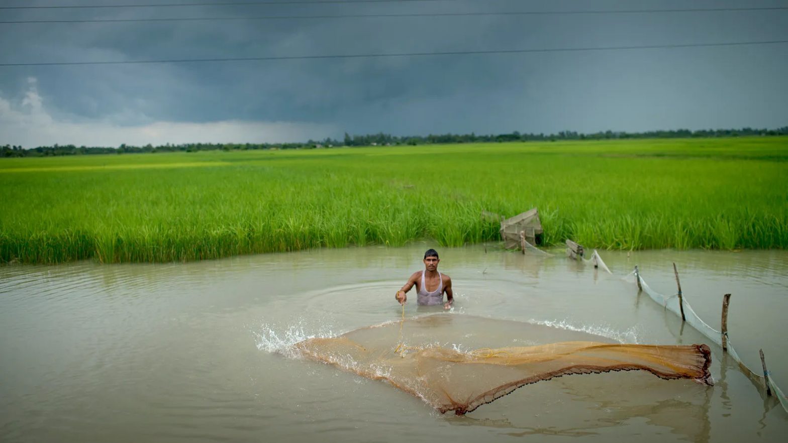 India’s remaining wetlands are rapidly being encroached by more intensive human activity